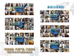 成都甲醛治理與保潔服務(wù)選擇指南 如何找到經(jīng)濟(jì)實惠的可靠公司