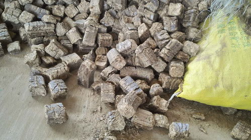 秸稈煤市場報價與優質廠家推薦
